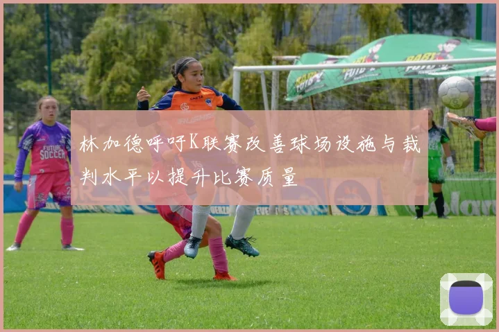 林加德呼吁K联赛改善球场设施与裁判水平以提升比赛质量