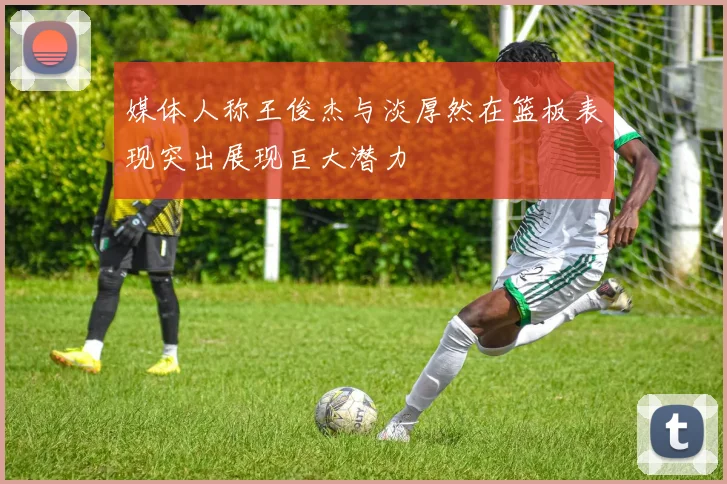 媒体人称王俊杰与淡厚然在篮板表现突出展现巨大潜力