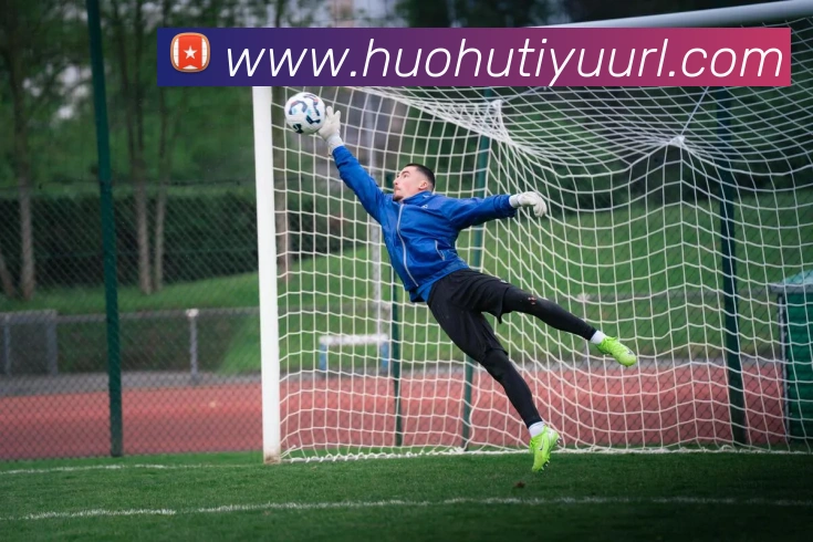 App Interface Preview