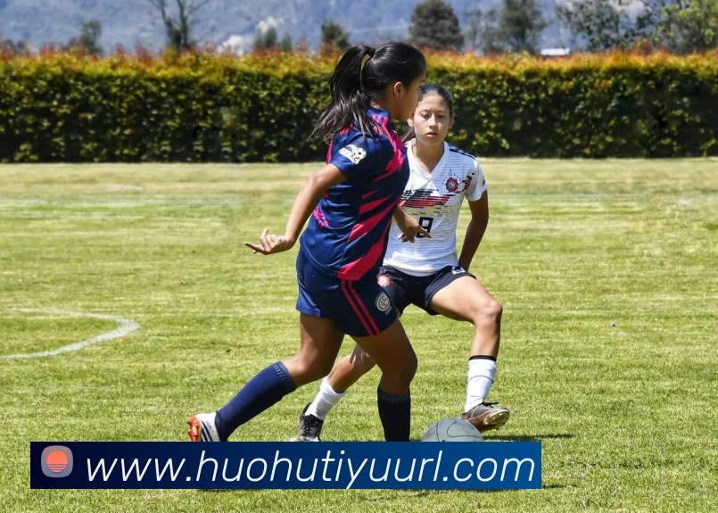 火狐体育APP 封面图